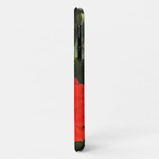 Cactus Blume Foto Bright Red Bloom Südwest Case-Mate iPhone Hülle (Hinten/Links)