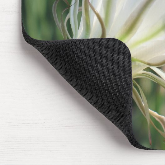 Cactus Blume Foto Mousepad (Ecke)