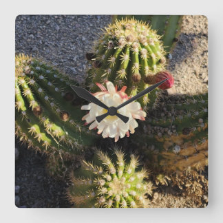 Cactus Blume Foto Quadratische Wanduhr