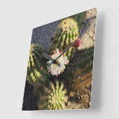 Cactus Blume Foto Quadratische Wanduhr (Winkel)