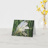 Cactus Blume Mitteilungskarten (Gelbe Blume)