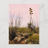 Cactus Blume New Mexico Blooms Postkarte (Vorderseite)