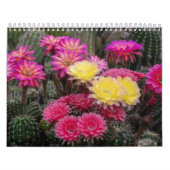 Cactus Blume Paint Kalender (Titelbild)