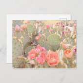 Cactus Blume Pink Blooms Sunset Postkarte (Vorne/Hinten)