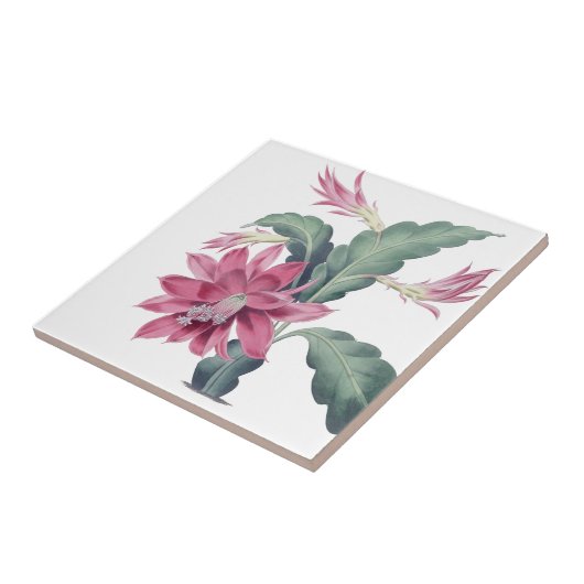 Cactus Blume Pink Fliese (Seite)