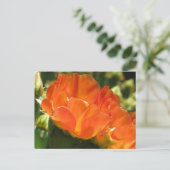 Cactus Blume Postcard Postkarte (Stehend Vorderseite)