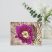 Cactus Blume Postcard Postkarte (Stehend Vorderseite)