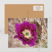 Cactus Blume Postcard Postkarte (Vorne/Hinten)