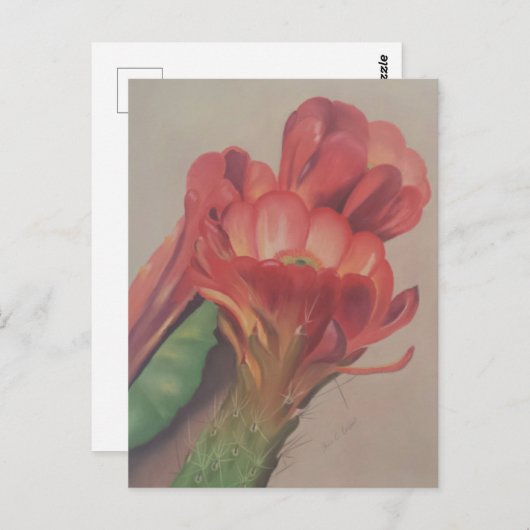 Cactus Blume Postcard Postkarte (Vorne/Hinten)