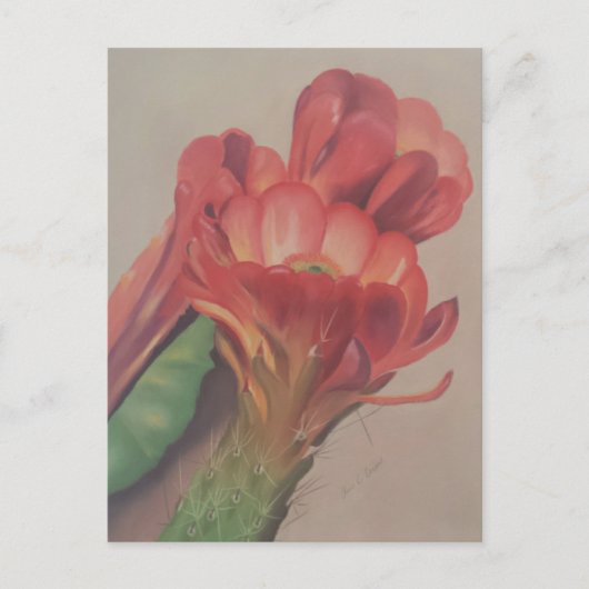 Cactus Blume Postcard Postkarte (Vorderseite)