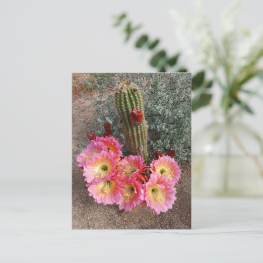 Cactus Blume Postcard Postkarte (Stehend Vorderseite)