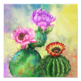 Cactus Blume Poster