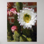 Cactus Blume Poster (Vorne)
