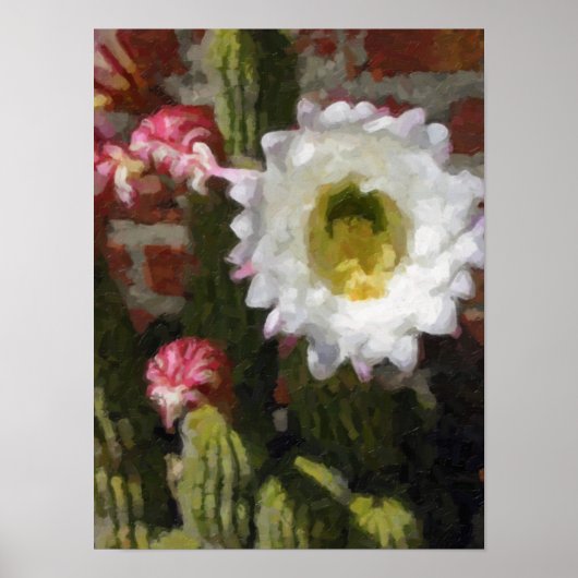 Cactus Blume Poster (Vorne)