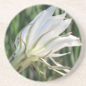 Cactus Blume Sandstone Untersetzer (Vorne)