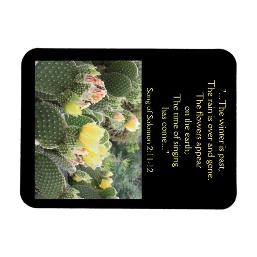 Cactus Blume Song von Solomon Magnet (Horizontal)