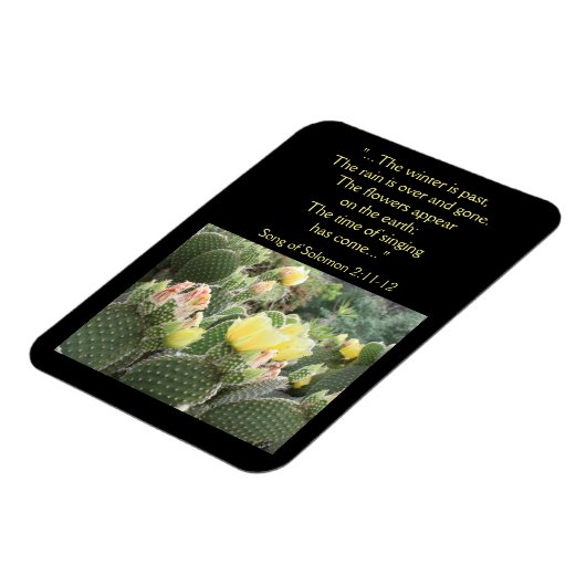 Cactus Blume Song von Solomon Magnet (Linke Seite)