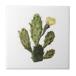 Cactus Blume Vintag Zeichnend Keramik Tile Fliese