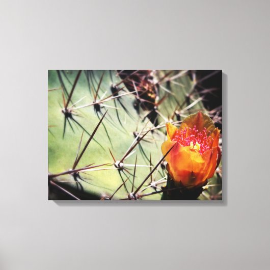 Cactus Blume Wrapped Canvas Leinwanddruck (Vorderseite)