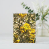 Cactus Blume Yellow Cholla Blooms Postkarte (Stehend Vorderseite)