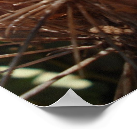 Cactus Bone Poster (Ecke)