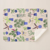 Cactus Cacti Succulent Houseplant Sherpadecke (Vorderseite (Horizontal))