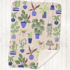 Cactus Cacti Succulent Houseplant Sherpadecke