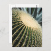 Cactus Card Postkarte (Vorne/Hinten)