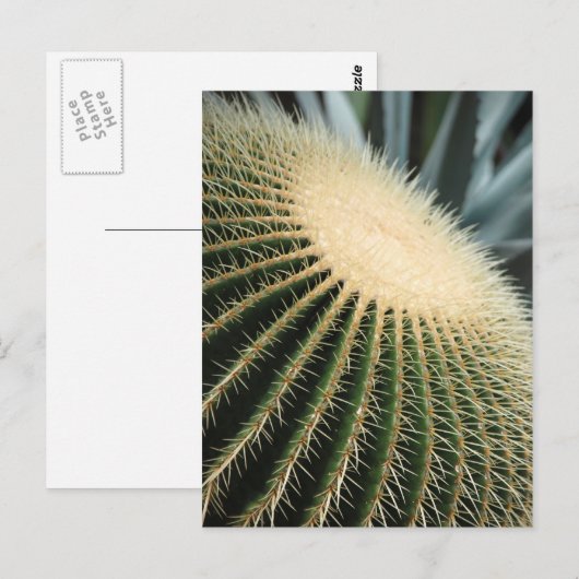 Cactus Card Postkarte (Vorne/Hinten)