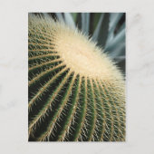 Cactus Card Postkarte (Vorderseite)