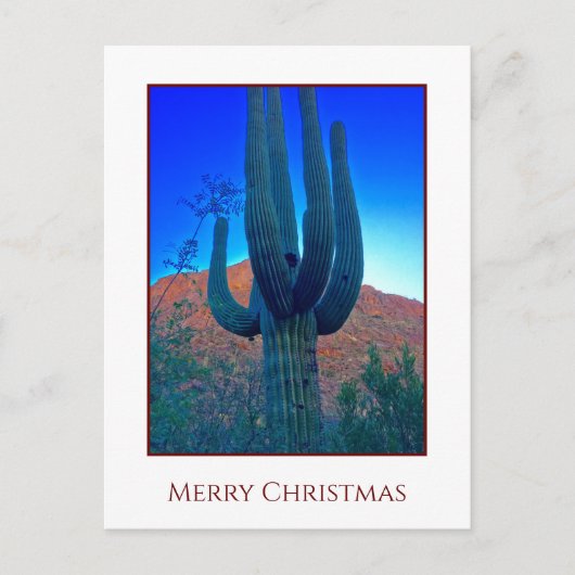 Cactus Christmas Holiday Card Feiertagspostkarte (Vorderseite)
