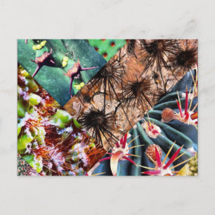 Cactus Collage Postcard Postkarte