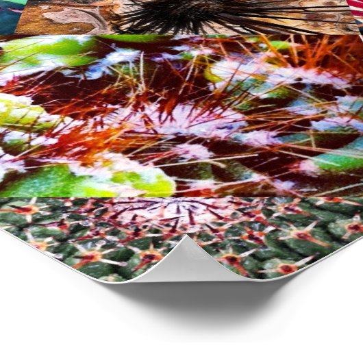 Cactus Collage Poster (Ecke)