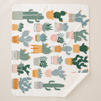 Cactus Collection in Pots Design Sherpadecke
