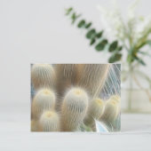 Cactus Color Lines Postkarte (Stehend Vorderseite)