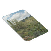 Cactus Coloring Decorative Wüstenmagnet Magnet (Rechte Seite)