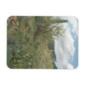 Cactus Coloring Decorative Wüstenmagnet Magnet (Horizontal)