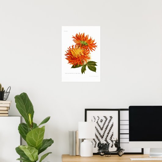 Cactus Dahlia Poster (Heimbüro)