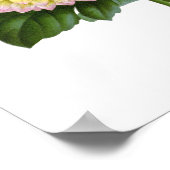 Cactus Dahlias Poster (Ecke)