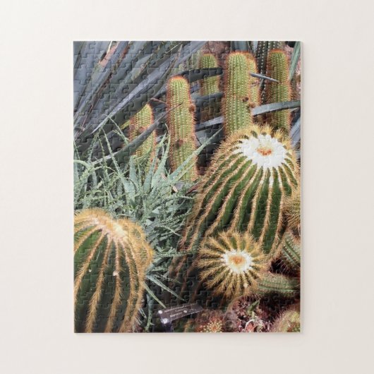 Cactus Desert Arid Garden Nature Puzzle (Vertikal)