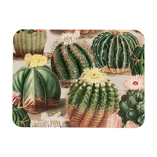 Cactus Design Flexible Foto Magnet (Horizontal)