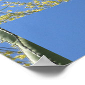 Cactus Dove Poster (Ecke)