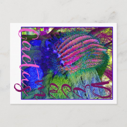 Cactus Dreams neon cactus Southwest Postcard Postkarte (Vorderseite)