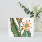 Cactus Family Vintag Botanical Print Postkarte (Stehend Vorderseite)