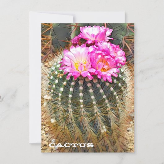 Cactus: Flat Card (Vorderseite)