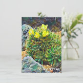 Cactus: Flat Card (Stehend Vorderseite)