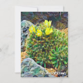 Cactus: Flat Card (Vorderseite)