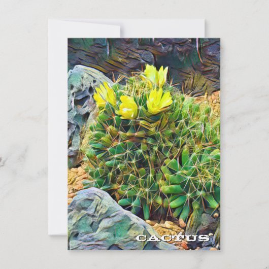 Cactus: Flat Card (Vorderseite)