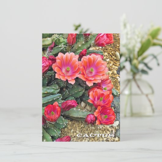 Cactus: Flat Card (Stehend Vorderseite)