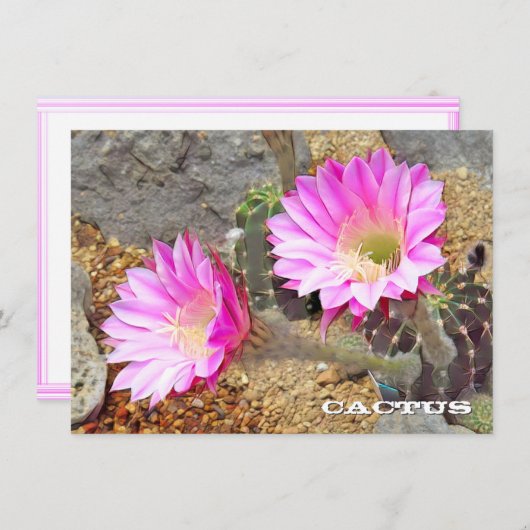 Cactus: Flat Card (Vorne/Hinten)